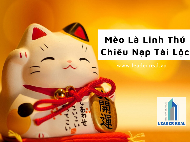 Mèo là linh thú chiêu nạp tài lộc